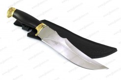 Alligator_65x13_lat_dol2