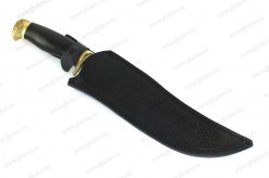 Alligator_65x13_lat_dol3