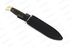BER012