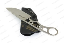 FERAUS8V22