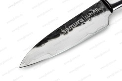 SPL-00113